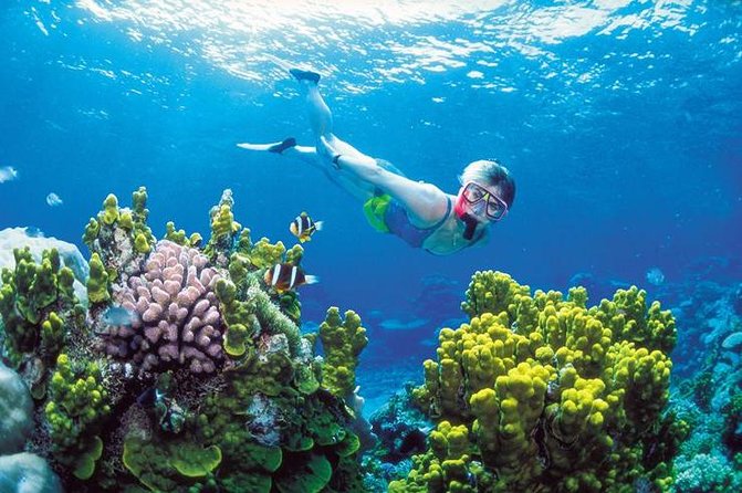 Snorkel, ATV, Zipline and Cenote Adventure from Cancun - From Cancun hotel pickup to Puerto Morelos: how the day starts