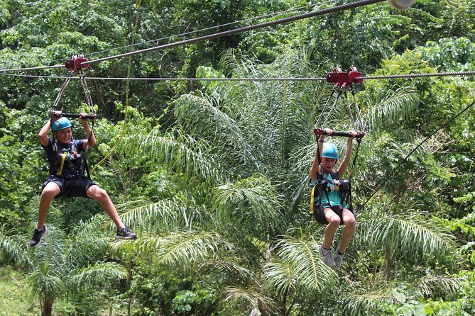 St. Kitts Zipline Experience - Key details that matter before you go