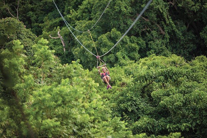St. Kitts Zipline Experience - Why this St Kitts zipline setup feels more like an island day than a theme-park stop