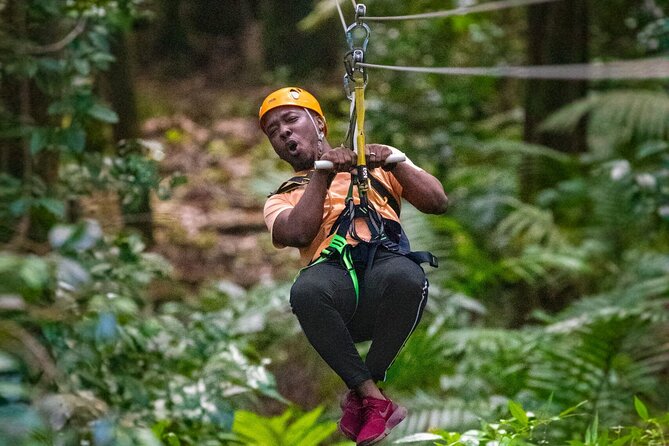St. Lucia 3 in 1 Combo: Aerial Tram, Rainforest Trail & Zipline - Castries Waterworks Forest Reserve: why this setting matters