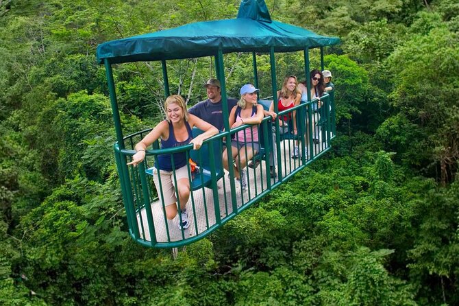 St. Lucia 3 in 1 Combo: Aerial Tram, Rainforest Trail & Zipline - Price and value: what $107 really buys you