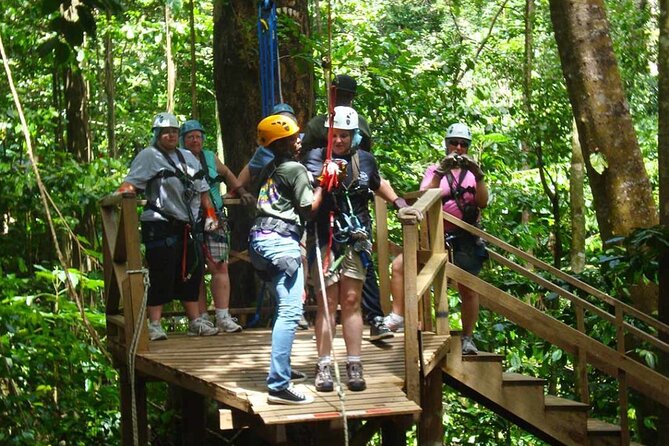 St. Lucia 3 in 1 Combo: Aerial Tram, Rainforest Trail & Zipline - Who should book this St Lucia 3-in-1 combo?