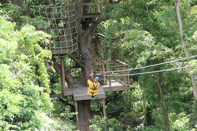 St. Lucia Morne Coubaril Estate Zipline Experience - Your Ride Day Plan: Meeting Point and Timing That Works