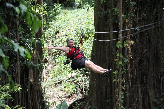 St. Lucia Morne Coubaril Estate Zipline Experience - Should You Book the St. Lucia Morne Coubaril Zipline?