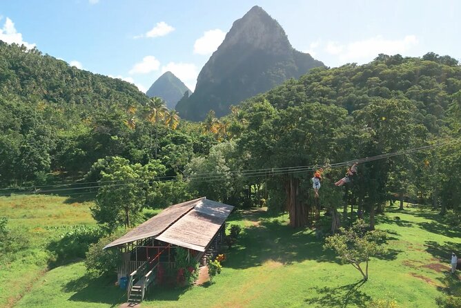 St. Lucia Morne Coubaril Estate Zipline Experience - What You’ll See From the Tree Platforms Over Soufrière