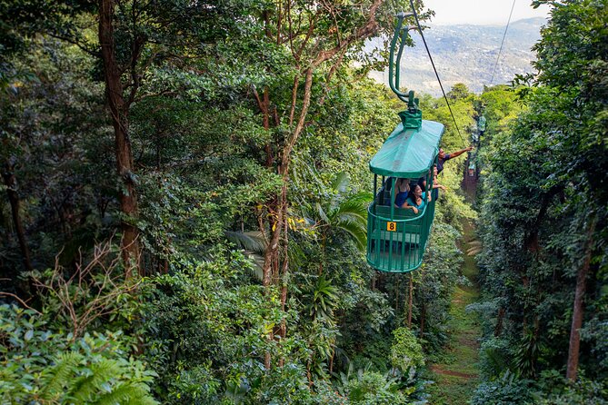 St Lucia Ultimate 3: Aerial Tram, Zipline and Hiking at Rainforest Adventures - Key highlights worth knowing