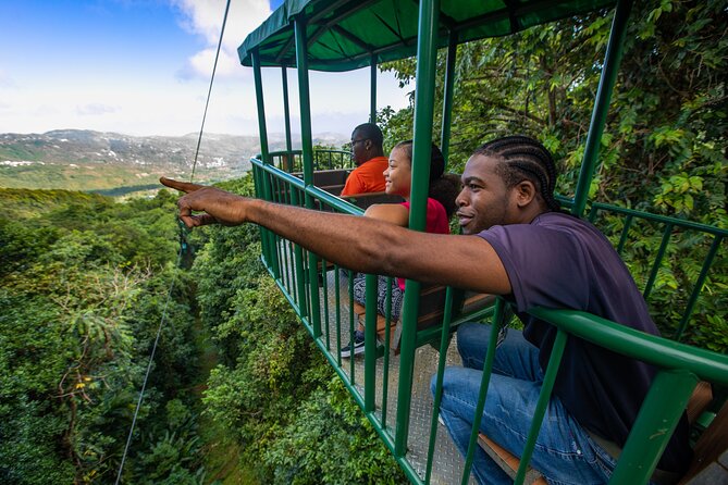 St Lucia Ultimate 3: Aerial Tram, Zipline and Hiking at Rainforest Adventures - A 3-in-1 rainforest day with real momentum