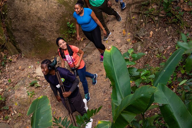 St Lucia Ultimate 3 Package: Aerial Tram, Zipline and Hiking - Rainforest Hiking with a Naturalist Guide