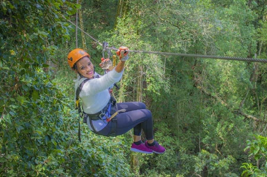 Storms River: Tsitsikamma National Park Zipline Canopy Tour - Tsitsikamma Canopy Over Outeniqua Yellowwoods