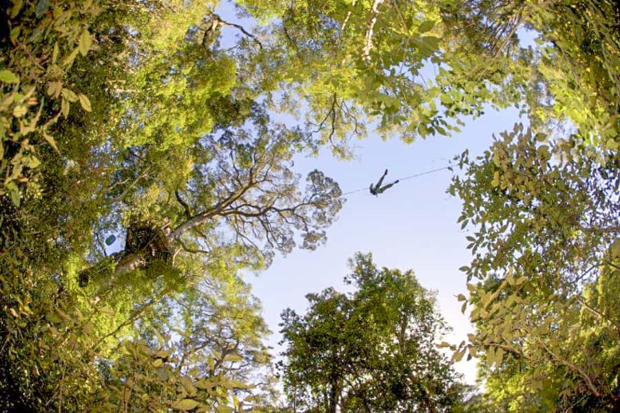 Storms River: Tsitsikamma National Park Zipline Canopy Tour - After the Last Zip: The 600-Meter Walk