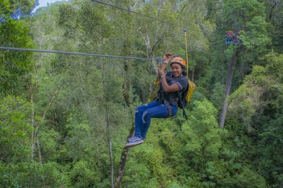 Storms River: Tsitsikamma National Park Zipline Canopy Tour - Price and What You’re Really Paying For ($55)
