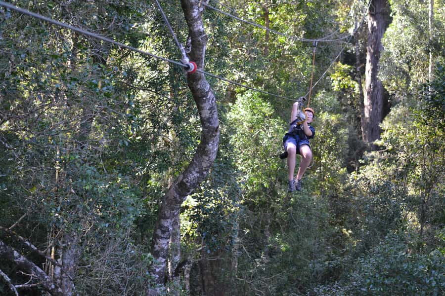 Storms River: Tsitsikamma National Park Zipline Canopy Tour - Who Should Book (and Who Should Skip It)