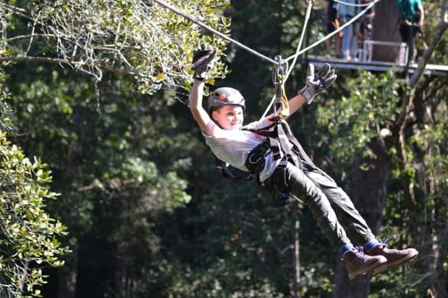 Storms River: Tsitsikamma National Park Zipline Canopy Tour - Safety and Control: The Real Value of Two Qualified Guides