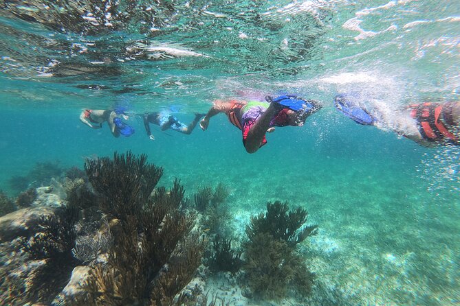 Super Combo ATV in Cancun with Zipline, Snorkel, Cenote, transfer - Pickup and Timing: Cancun Logistics Without the Headache