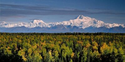 Talkeetna: Denali Zipline Tours - Getting there: office check-in and the scenic shuttle to the ridges
