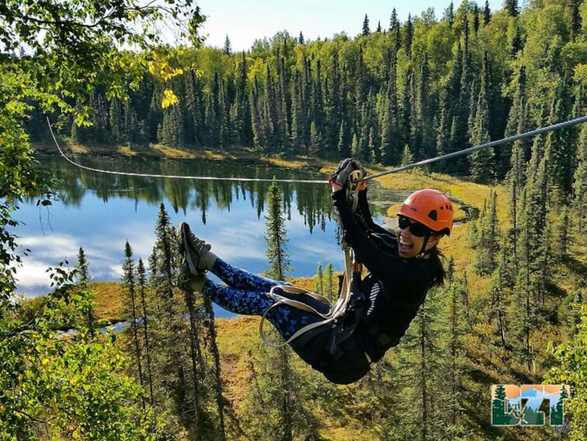Talkeetna: Denali Zipline Tours - Price and value: is $169 a fair deal for 3 hours?