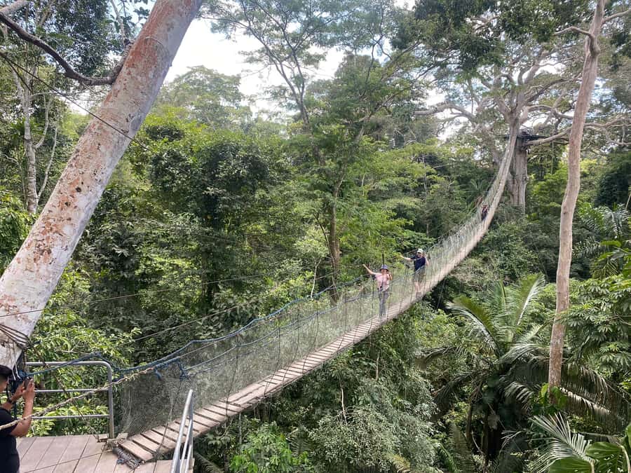 Tambopata: Zipline Adventure & Kayak to Monkey Island - Kayak to Monkey Island: River Time, Optional Water Fun