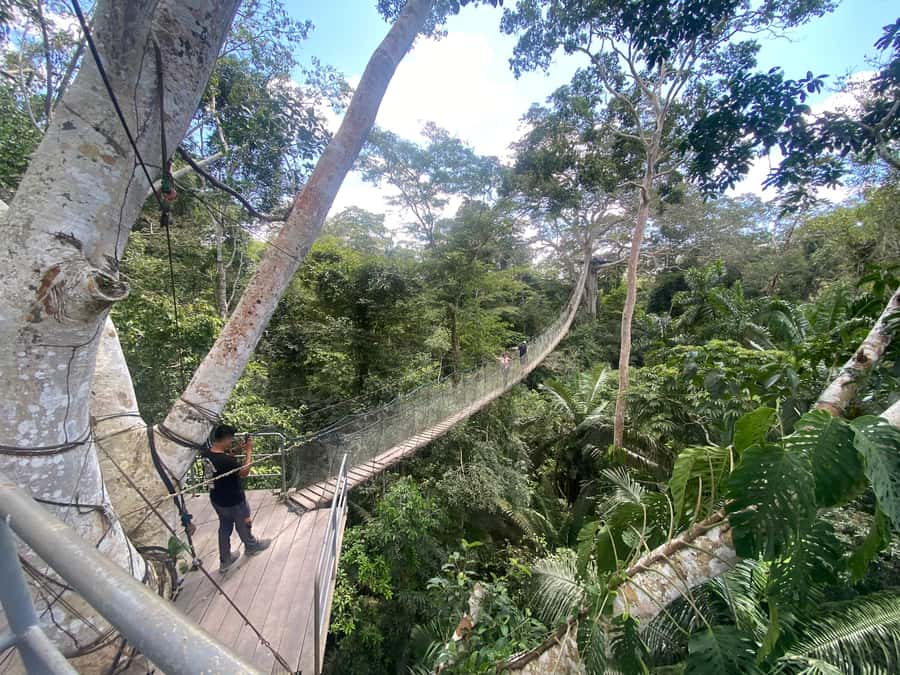Tambopata: Zipline Adventure & Kayak to Monkey Island - Monkey Island with Capuchins: Up Close, But Keep It Respectful