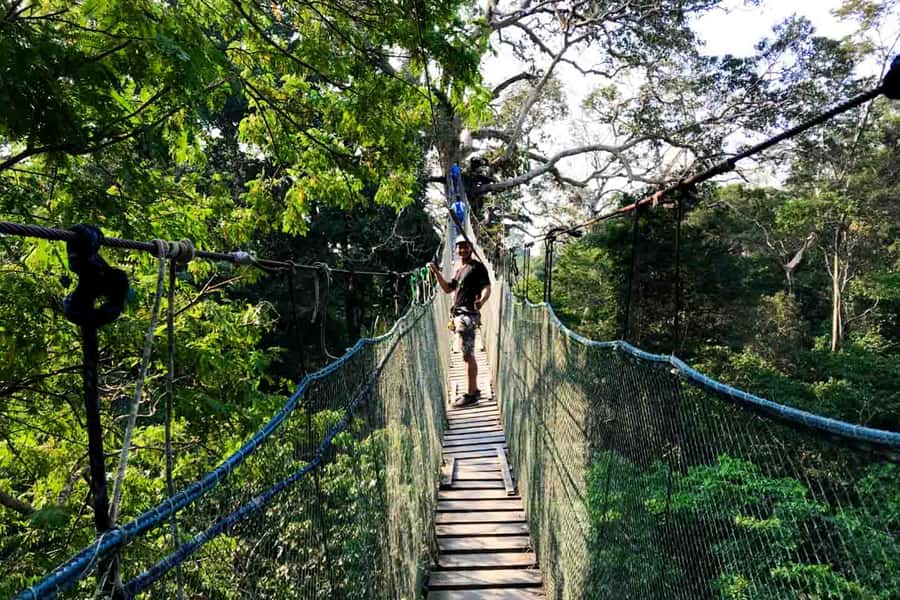 Tambopata: Zipline Adventure & Kayak to Monkey Island - Price and Value Check: Is $59 a Good Deal?