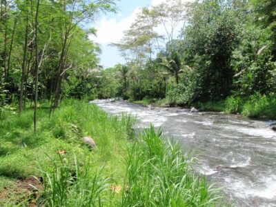 Telaga Waja River Rafting Bali & Zipline (Less Stairs) - Pickup, briefing, and the coffee/tea moment before the rapids