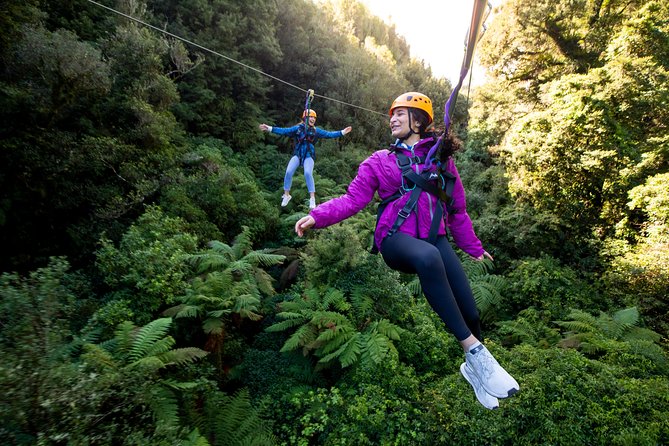 The Ultimate Canopy Zipline Experience Private Tour From Auckland - Key things to know before you book