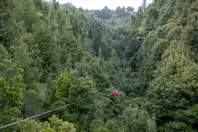 The Ultimate Canopy Zipline Experience Private Tour From Auckland - Early 6:30am Pickup and the Road Trip Stops That Break Up the Drive