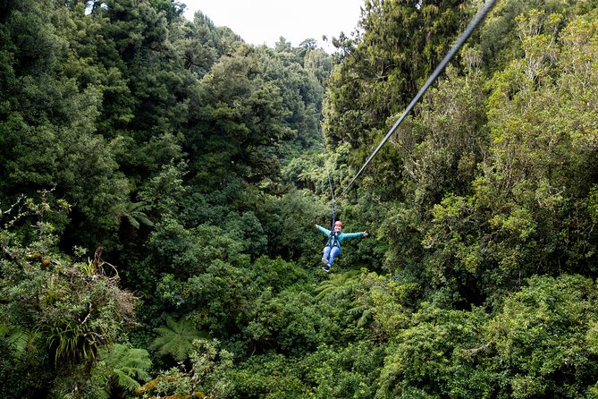 The Ultimate Canopy Zipline Experience Private Tour From Auckland - Safety, Fitness, and the Rules You Should Actually Care About