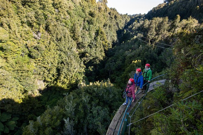 The Ultimate Canopy Zipline Experience Private Tour From Auckland - Rotorua Canopy Tours: 1200m of Ziplines, Swing Bridges, and Staircases