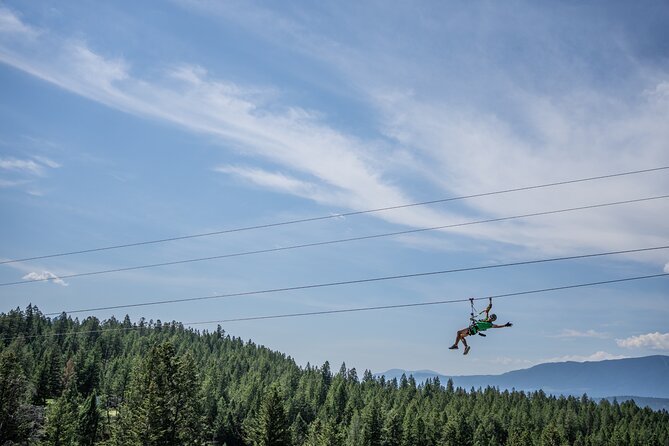Thrilling 2-Hour Zipline Tour in Radium Hot Springs - The wetlands and Purcell Mountains platform moment