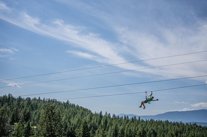 Thrilling 2-Hour Zipline Tour in Radium Hot Springs - The final double zip race: up to 50 km/h