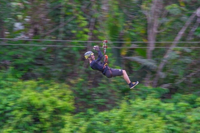 Thrilling Zipline Adventure at Bocawina Rainforest - What You’ll See: Rainforest Sounds, Monkey Chances, and Plant Talk