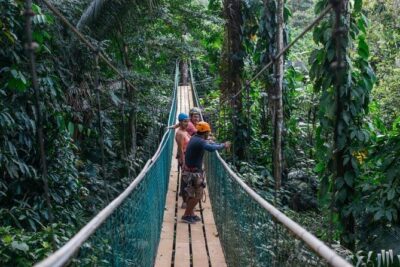 Thrilling Zipline Adventure at Bocawina Rainforest - Where You Start at Bocawina Rainforest Resort: Logistics That Matter