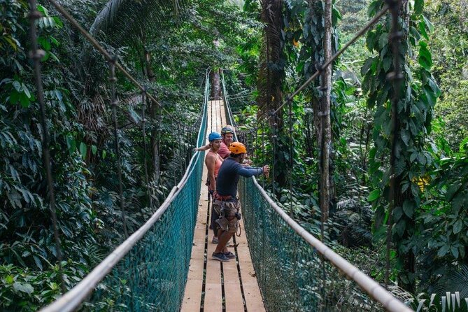 Thrilling Zipline Adventure at Bocawina Rainforest - Where You Start at Bocawina Rainforest Resort: Logistics That Matter