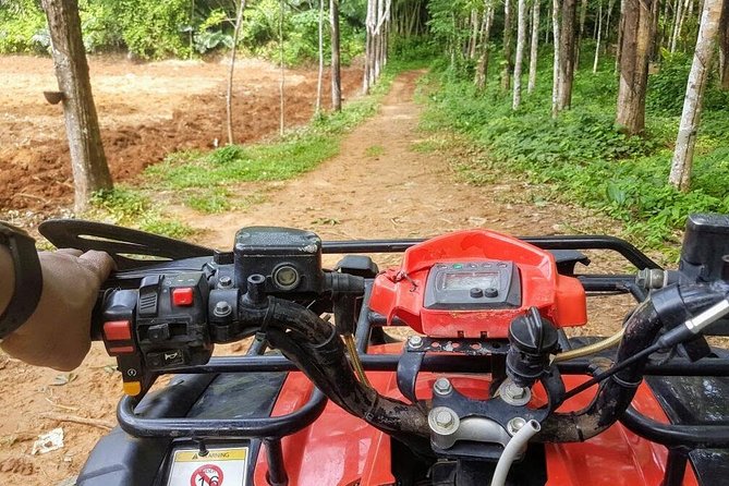 Thrilling Zipline Adventures at Thai'd Up in Krabi's Lush Jungle - Guides, safety gear, and why it feels confident