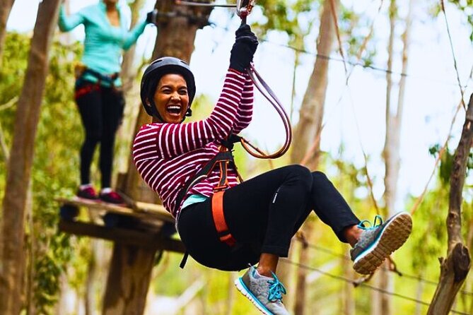 Top Rated Atlas Mountains Zipline from Marrakesh - Argan Cooperative Stop: How Liquid Gold Gets Made