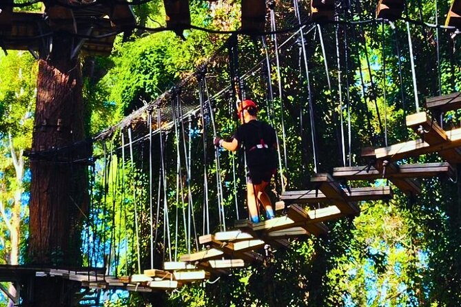 Top Rated Atlas Mountains Zipline from Marrakesh - Who This Zipline Trip Is Best For