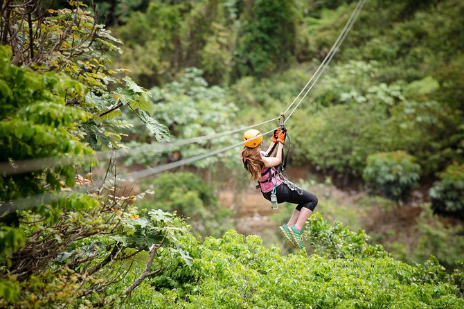 Toro Verde 7-Zipline Tour Plus the Beast with Pickup - The canopy ziplines: flying for views over rivers and valleys