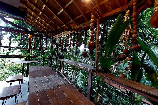 Tree Bridge Cafe And Zipline - Jungle Flight Adventure in Koh Samui - Tree Bridge Cafe: the break that keeps you from burning out