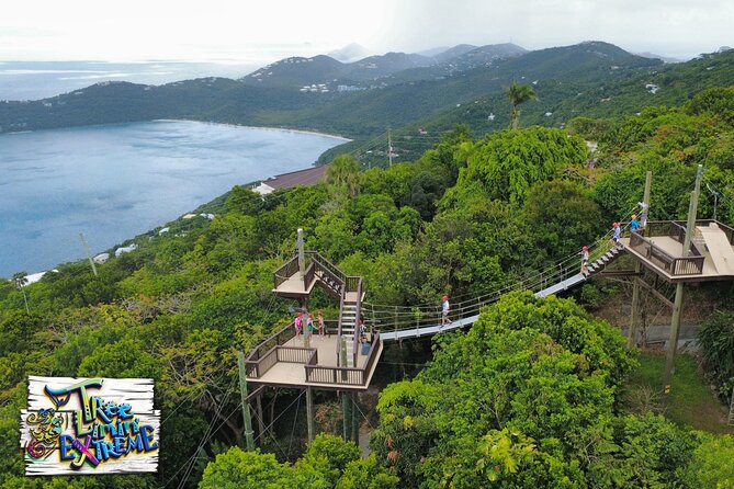Tree Limin' Extreme Zipline - Views from the trees: what you’ll actually see