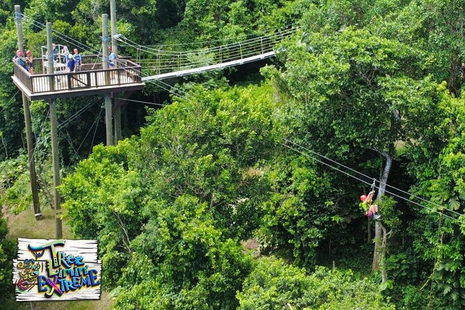 Tree Limin' Extreme Zipline - Guides that make safety feel easy: Francis, Sharon, Andrew, Alex, and more