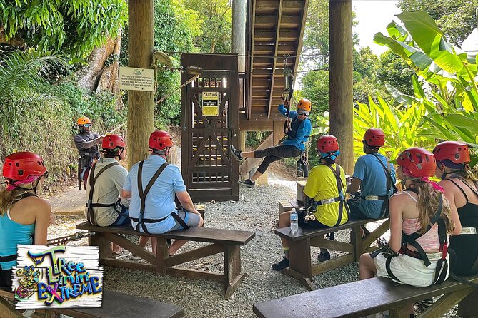 Tree Limin' Extreme Zipline - Check-in at 7406 Estate St. Peter: gear up and get your bearings