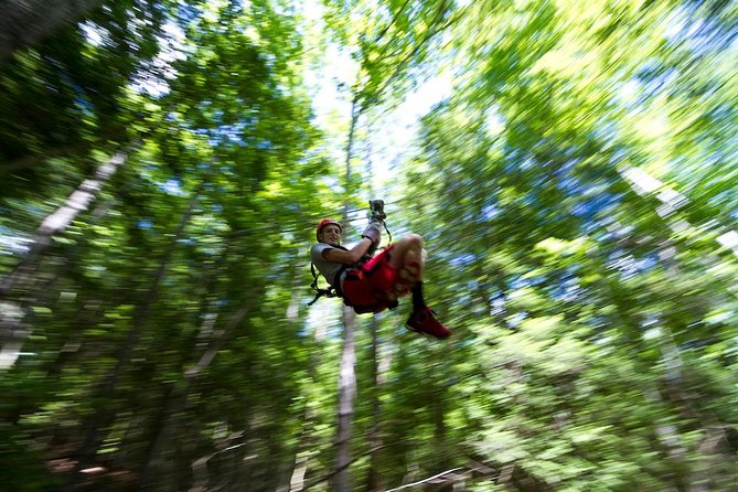 Tree Tops Zip Line Canopy Tour - Key things to know before you go