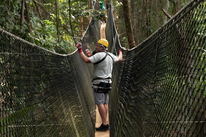 Treetop Adventure Park Canopy Tour - Key things that make this zipline tour worth your time