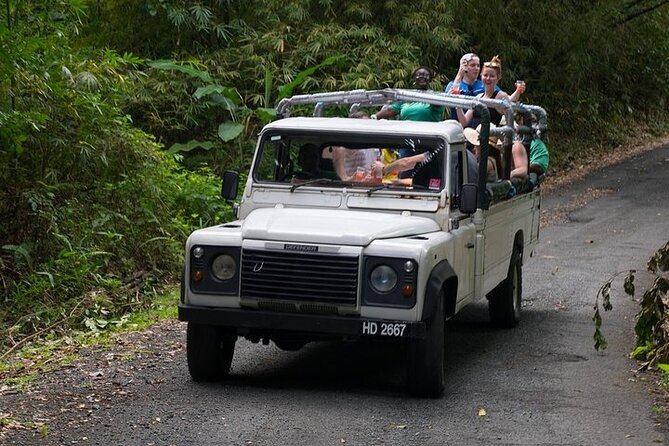 Treetop Adventure Park Canopy Tour - East Coast pickup to Treetop check-in: the ride that sets the mood