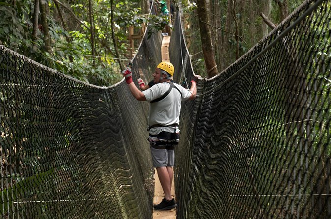 Treetop Adventure Park Canopy Tour - Cruise-friendly details and the Princess ship note
