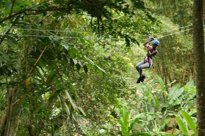 Treetop Adventure Park Canopy Tour - Harness, helmet, and gloves: what the safety setup actually feels like