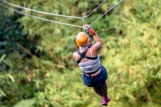 Treetop Zipline Experience From Castries - Rodney Bay’s treetop zipline: a break from beach time