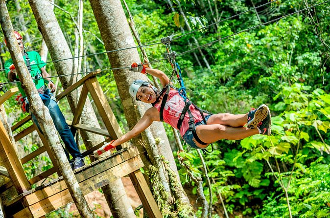 Treetop Zipline Experience From Castries - Net bridge moment: the best time to keep your focus calm