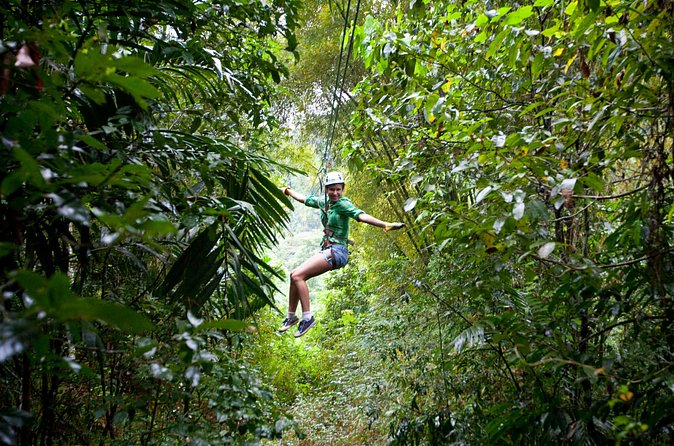 Treetop Zipline Experience From Castries - Wildlife and Caribbean plant spotting between flights