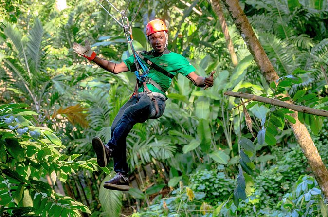 Treetop Zipline Experience From Castries - Price and value: what $121.60 really buys you
